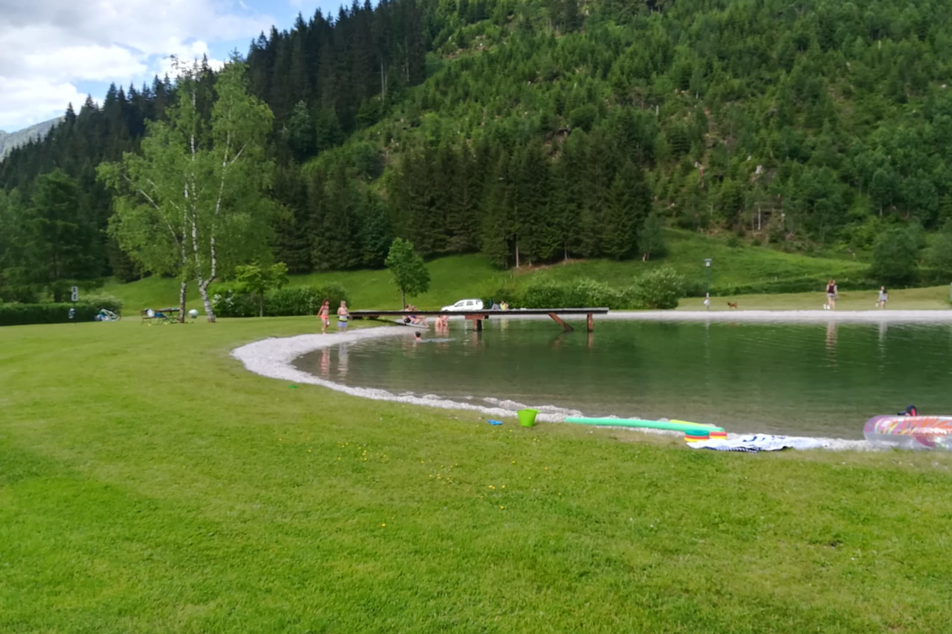 Swimming pond in Donnersbachwald - Impression #1