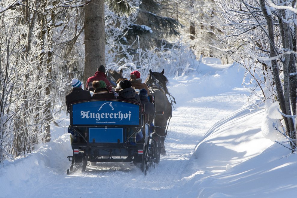 Horse sleigh ride at Angererhof | © Martin Huber