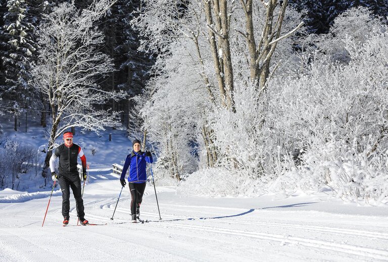 Cross-country skiing in Untertal - Impression #2.9 | © Gerhard Pilz/Tourismusverband Schladming - Martin Huber