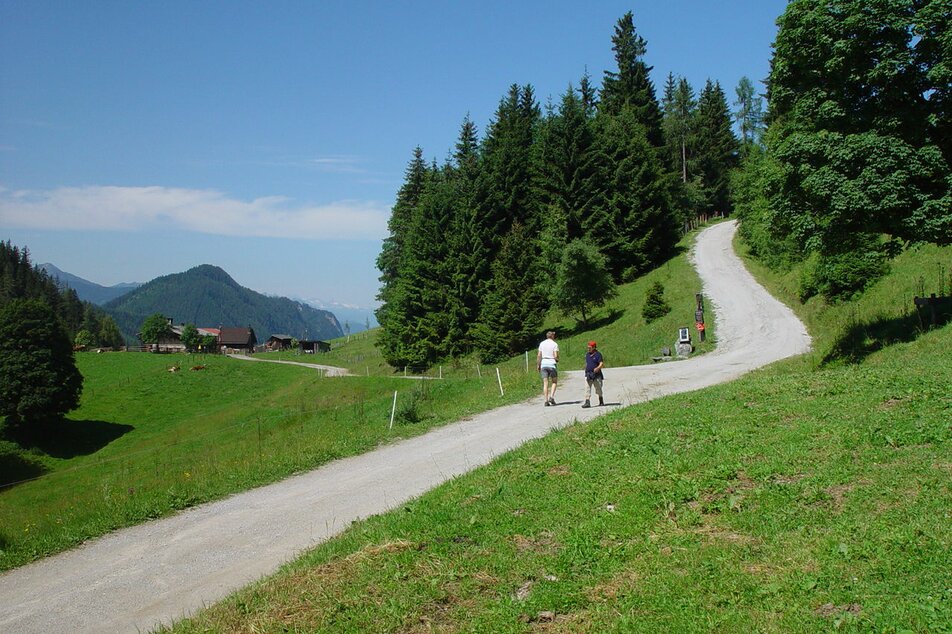 Einfache Wanderung entlang der Rittisberg-Runde | © Schladming Dachstein/Schladming-Dachstein