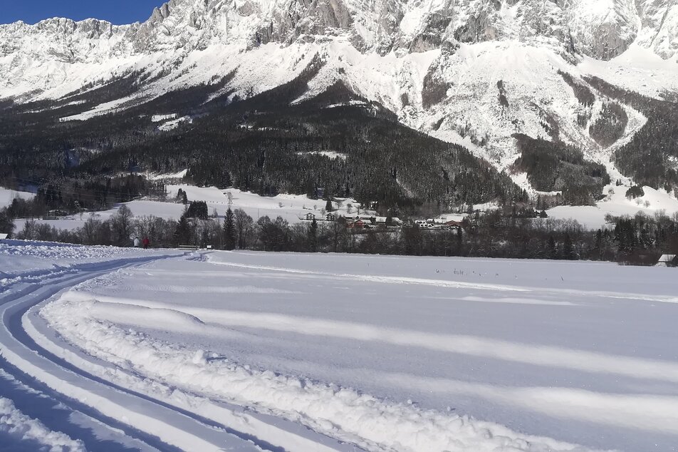 XC skiing with the Grimming in view | © Heidi Grundner/Erlebnisregion Schladming-Dachstein