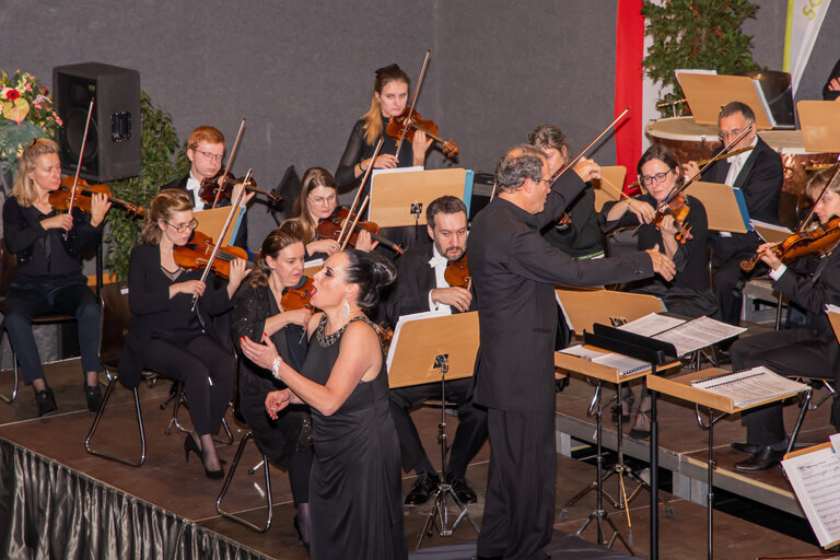 New Years concert with the "Vienna Classical Players" - Imprese #2.2 | © Gemeinde Aigen im Ennstal