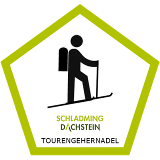 Ski touring pin Schladming-Dachstein