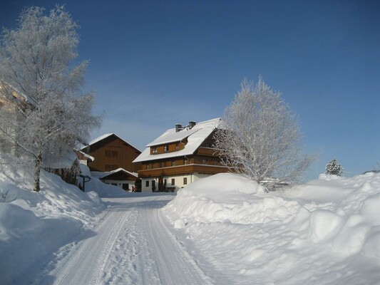 Winterfotos 2012 002