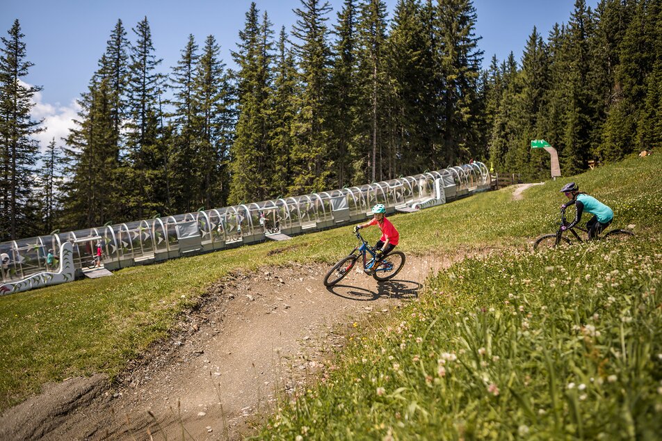 Young downhill bikers at the bike park Planai | © Roland Haschka