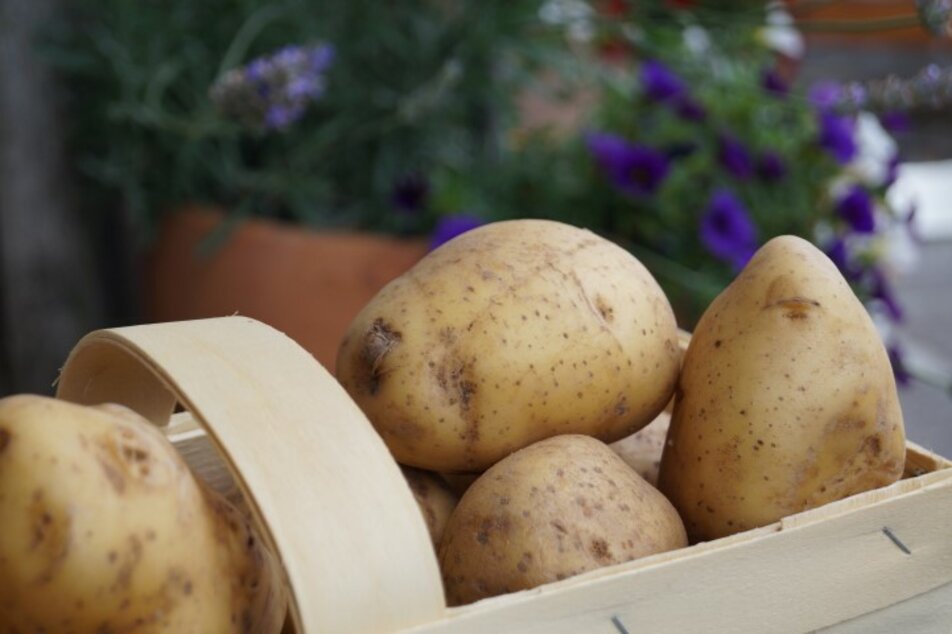 Enjoy day "Potatoes" - Impression #1 | © Marianne Ritzinger