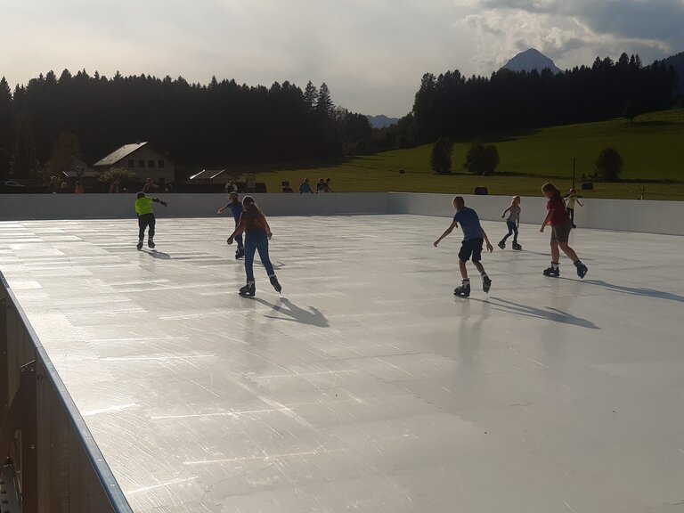 Ganzjährige Eissportanlage/Eislaufplatz - Impression #2.4