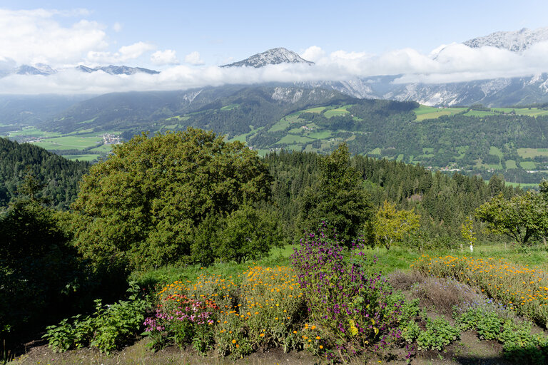 Ausblick vom Kräuterbauernhof Percht | © Martina Siebenhandl