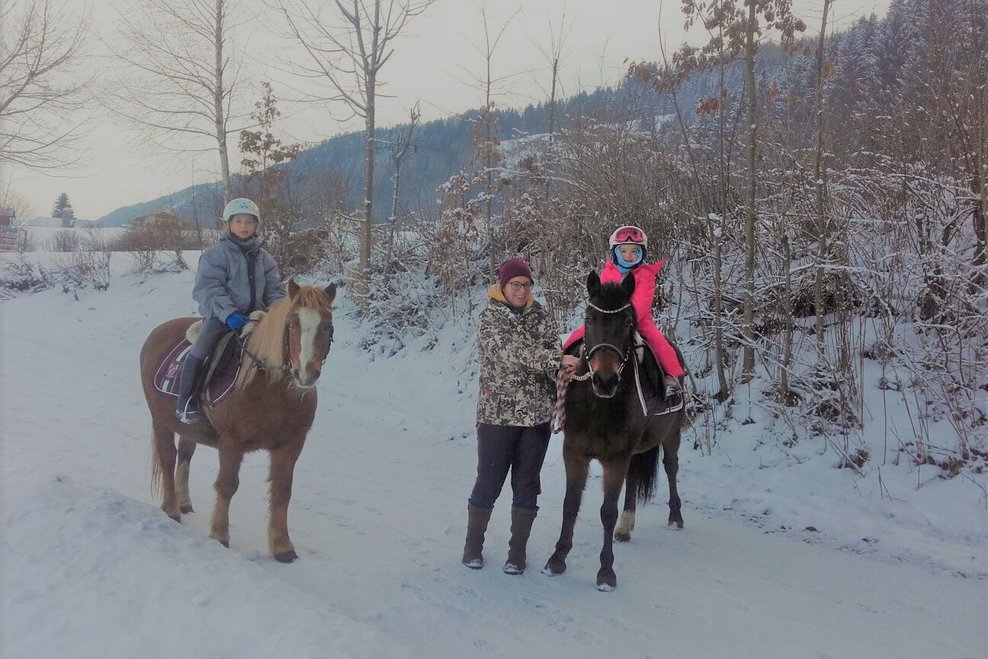 Sulzbacher - Pony rides, sleigh rides, horse-drawn carriage  - Imprese #1.2 | © Elke Sulzbacher 