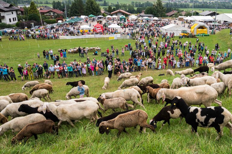 14th Styrian Alpine Lamb Festival - Imprese #2.11