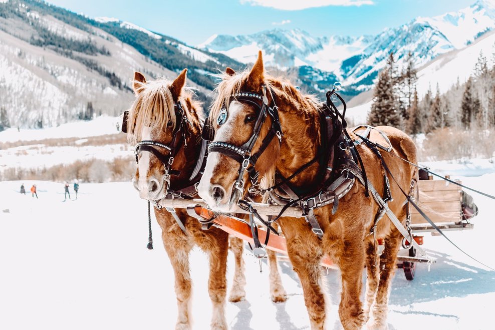 Pferdeschlitten inmitten der Schladminger Winterlandschaft | © Goglhof