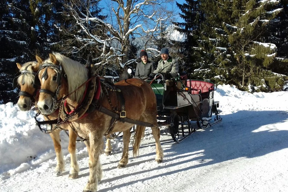 Pferdeschlitten- und Kutschenfahrt im Winter | © Steinbauer