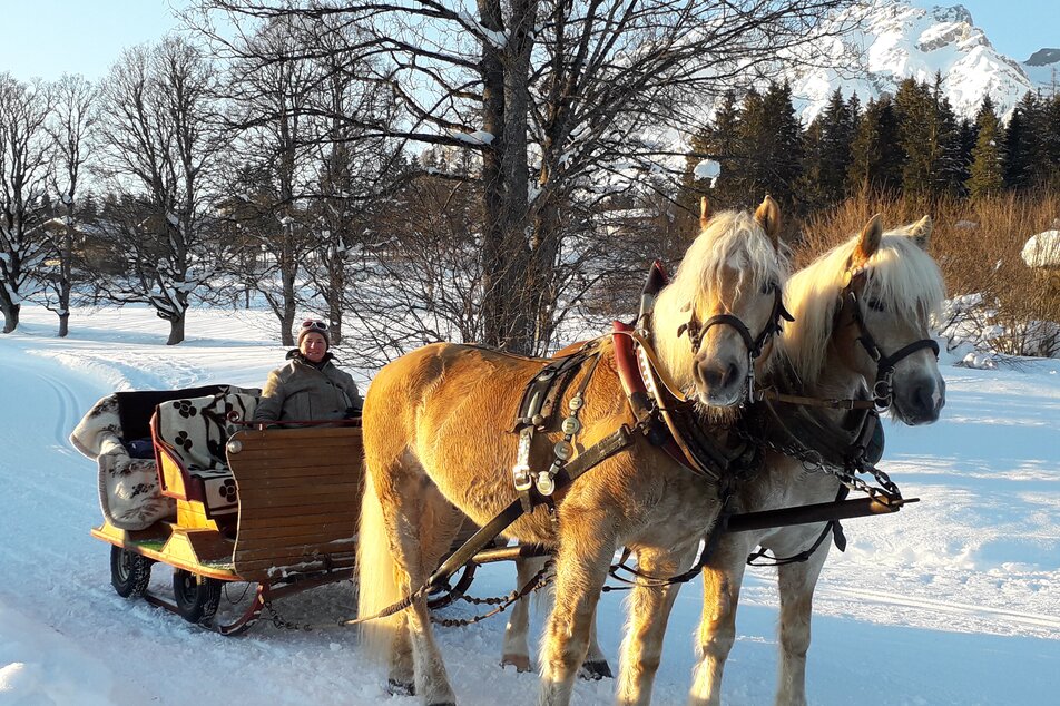 Horse sleigh riding at Kielerhof | © Kielerhof