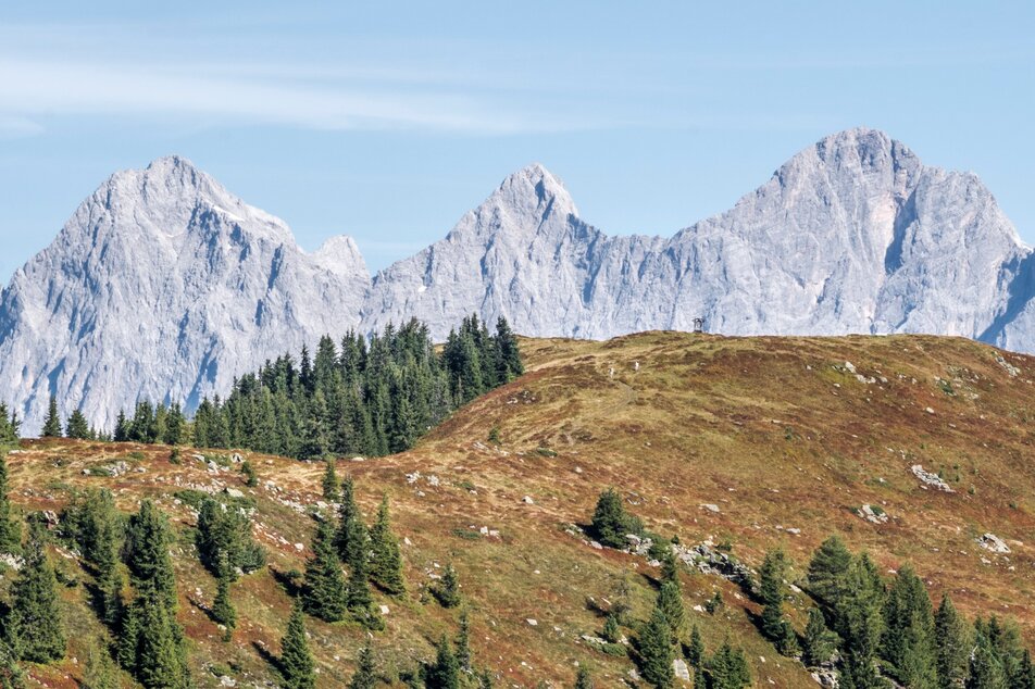 View from Guschen summit to Rossfeld and the Dachstein massif | © Gerhard Pilz/Gerhard Pilz