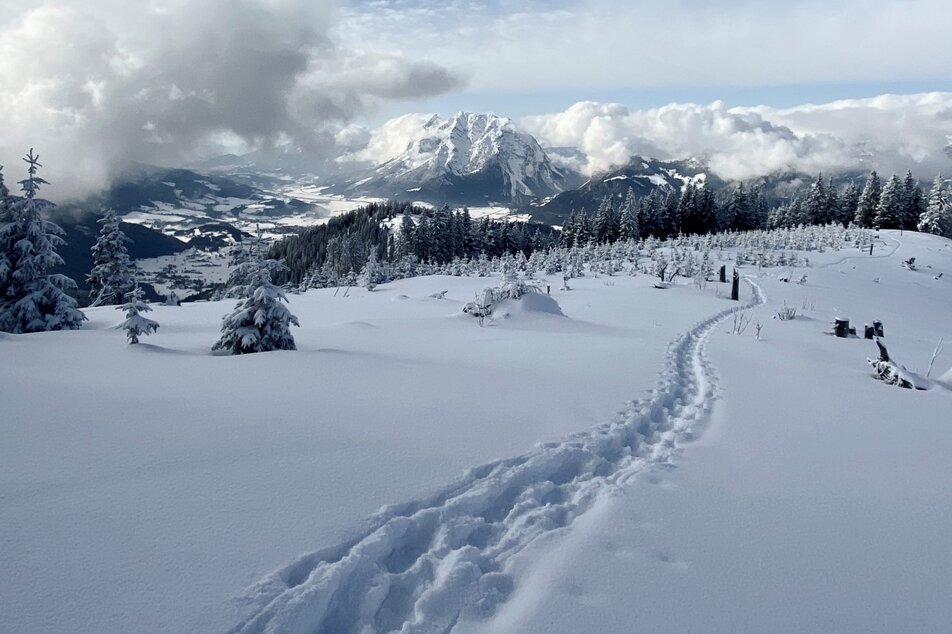 Eine Schneeschuhwanderung vom Feinsten | © Christoph Lukas/Erlebnisregion Schladming-Dachstein