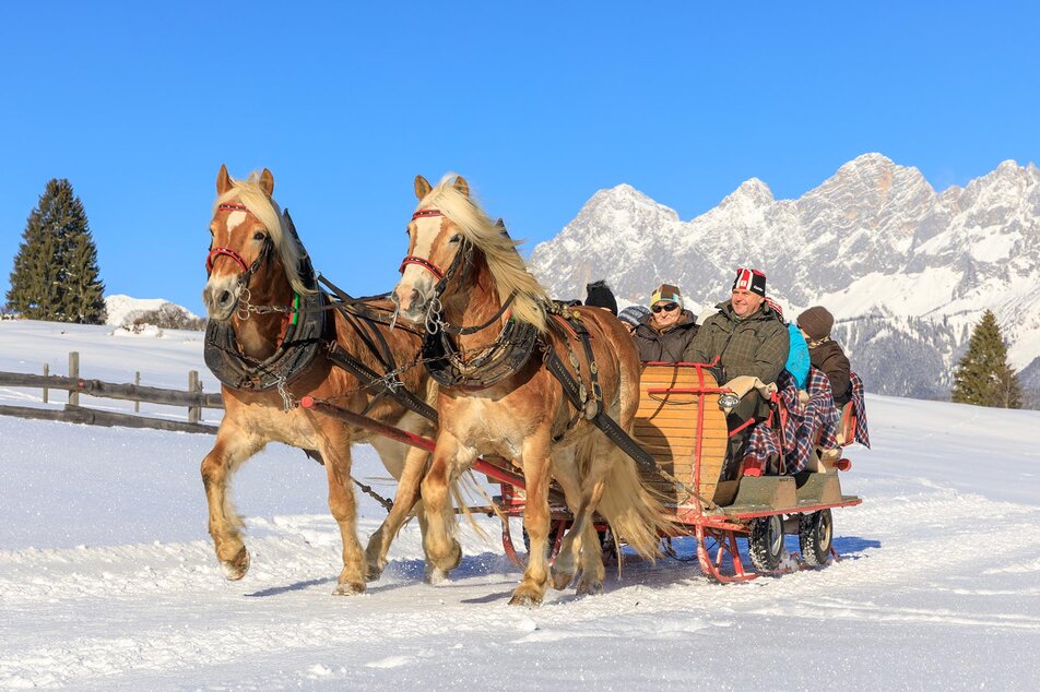 Via the meadows of Rohrmooser Frei in the horse-drawn-sleigh - the Dachstein massif in the backdrop | © Martin Huber/Tourismusverband Schladming - Martin Huber