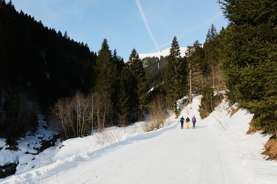 Bergauf auf dem bestens präpariertem Weg | © Armin Walcher/Erlebnisregion Schladming-Dachstein