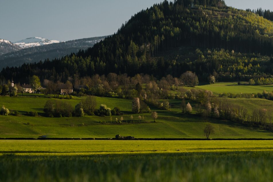 Der Kulm von seiner "sanften" der Stainacher Ansicht | © Christoph Lukas/Erlebnisregion Schladming-Dachstein