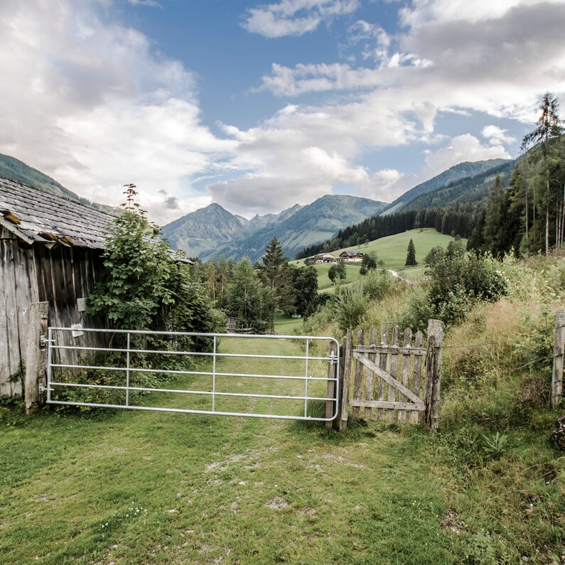 Von der Rohrmooser Frei ins Obertal | © Gerhard Pilz/Tourismusverband Schladming