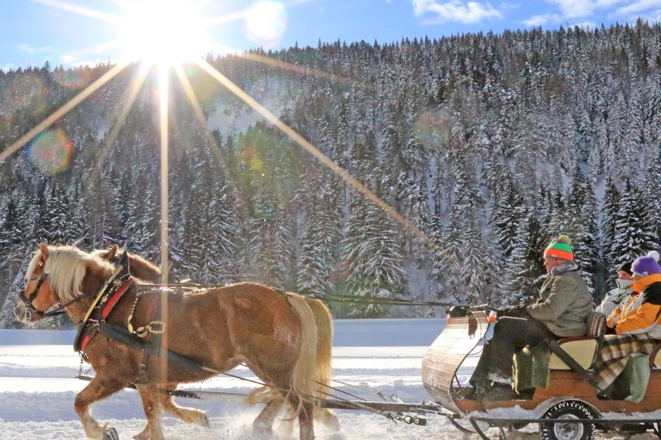 Winter sun, winterwonderland and a horse-drawn sleigh | © Michael Simonlehner/TVB Schladming