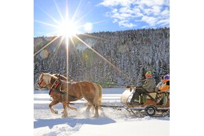 Sonne, Winterlandschaft und Pferdeschlitten - einfach herrlich | © Michael Simonlehner/TVB Schladming