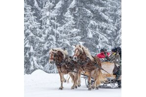 Gemütliche Fahrt am Pferdeschlitten bei Schneetreiben | © Martin Huber/TVB Schladming