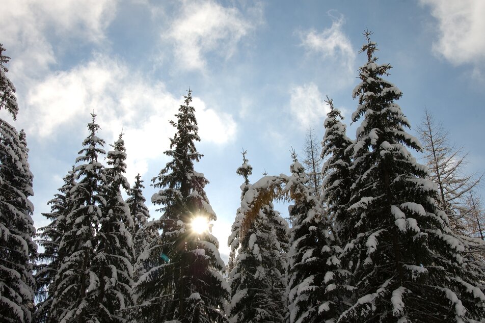 Winter panorama | © TV Haus-Aich-G&ouml;ssenberg/© www.haus.at