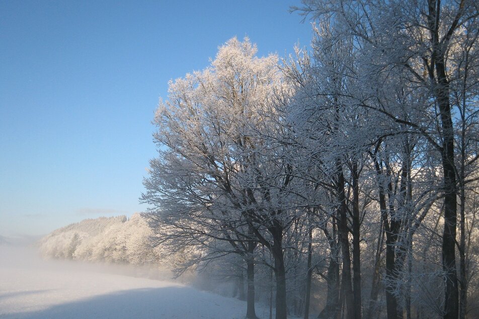 Winterlandschaft entlang der Enns | © TV Haus-Aich-G&ouml;ssenberg/© www.haus.at