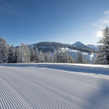 Skitour auf der Planai | © Harald Steiner/Planai