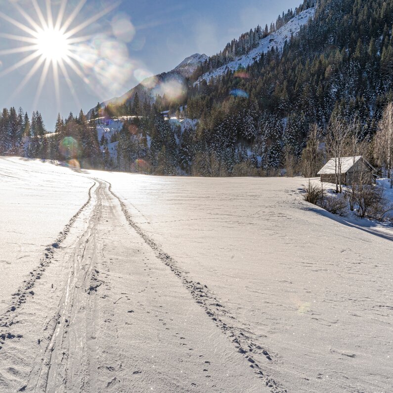 Winterwanderung über sonnige Wiesen im Großsölktal | © Gerhard Pilz/Erlebnisregion Schladming-Dachstein
