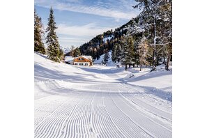 Die Skatingloipe Stoderzinken bei der Stoderhütte | © Gerhard Pilz/Erlebnisregion Schladming-Dachstein