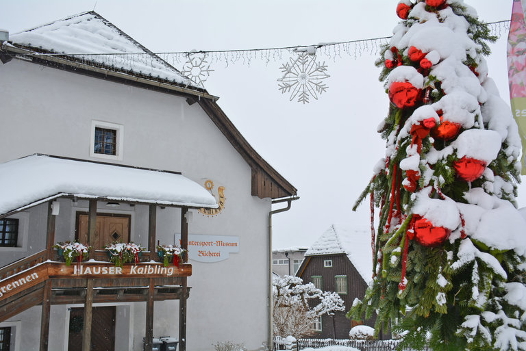 Winter Sports Museum Haus im Ennstal - Imprese #2.3 | © Marktgemeinde Haus