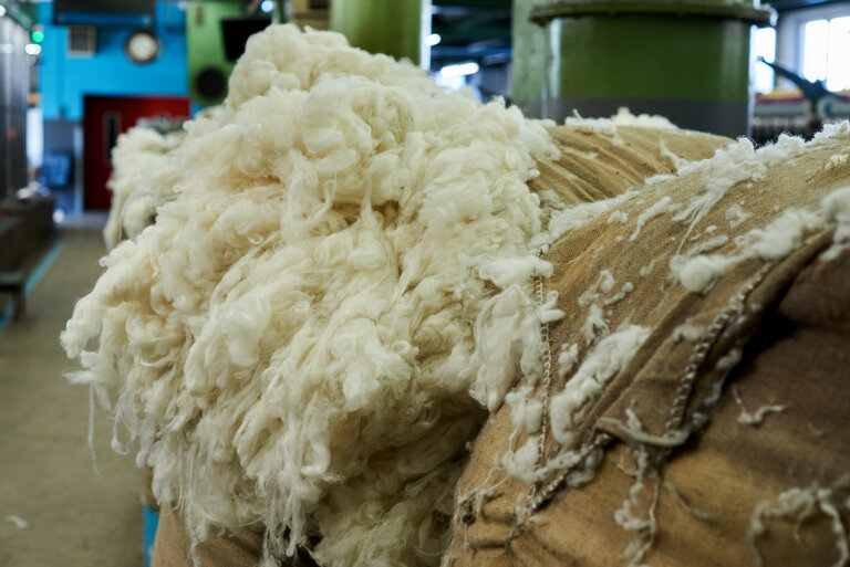 Steiner1888 wool world - Impression #2.6 | © Steiner1888, Fotograf: Martin Gebeshuber