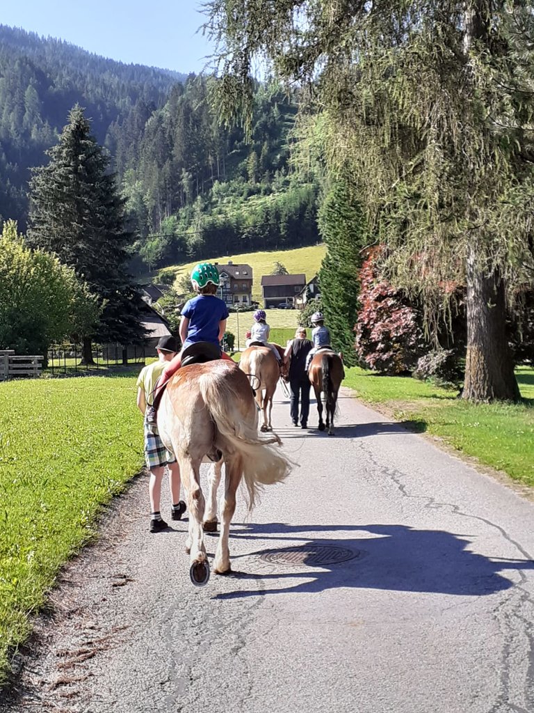 Geführte Ponywanderungen, Fam. Sulzbacher - Impression #2.3 | © Elke Sulzbacher 