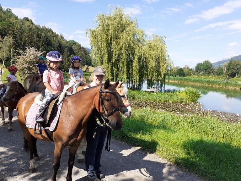 Guided pony hikes, Sulzbacher family - Impression #2.4 | © Elke Sulzbacher 