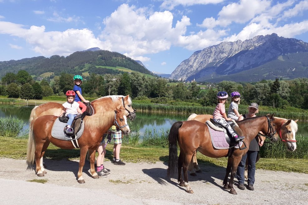 Guided pony hikes, Sulzbacher family - Impression #1.2 | © Elke Sulzbacher 