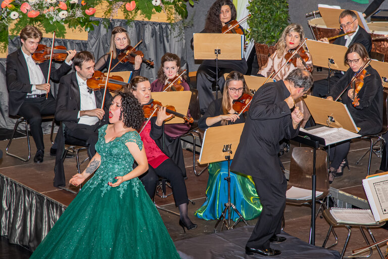 New Years concert with the "Vienna Classical Players" - Impression #2.9 | © Gemeinde Aigen im Ennstal
