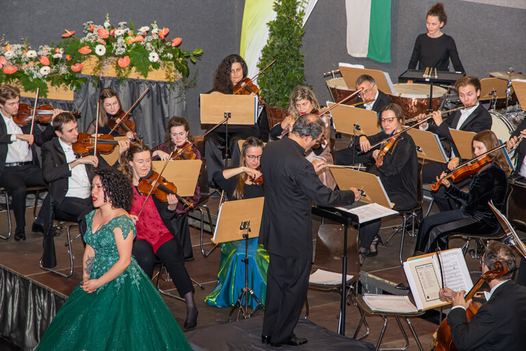 New Years concert with the "Vienna Classical Players" - Impression #2.6 | © Gemeinde Aigen im Ennstal