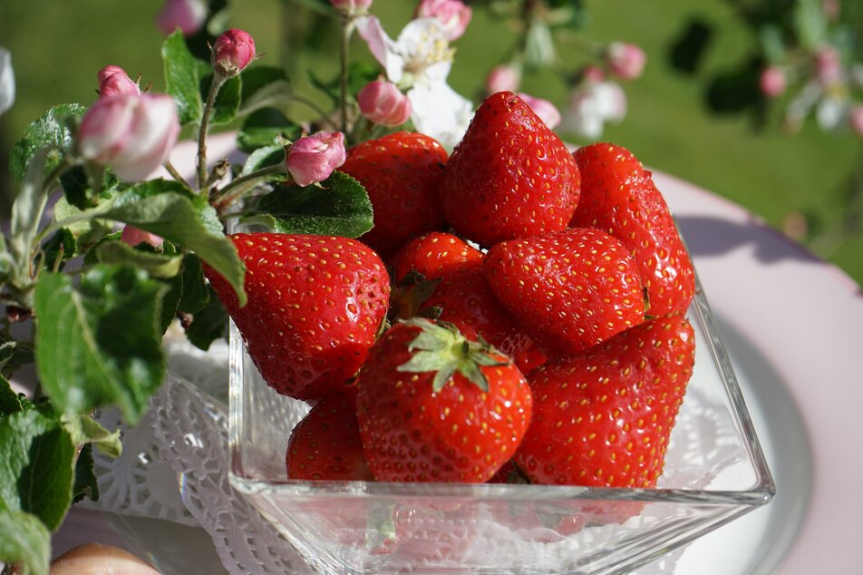 culinary day "strawberries" - Impression #1 | © Erdbeeren | Marianne Gruber