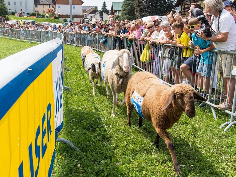 14th Styrian Alpine Lamb Festival - Imprese #2.8
