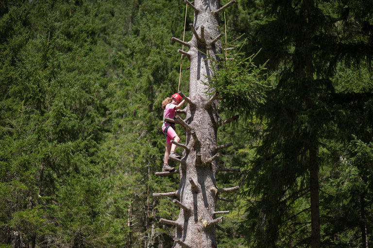 Trial climbing for children in the Obertal - Impression #2.8 | © Dominik Steiner