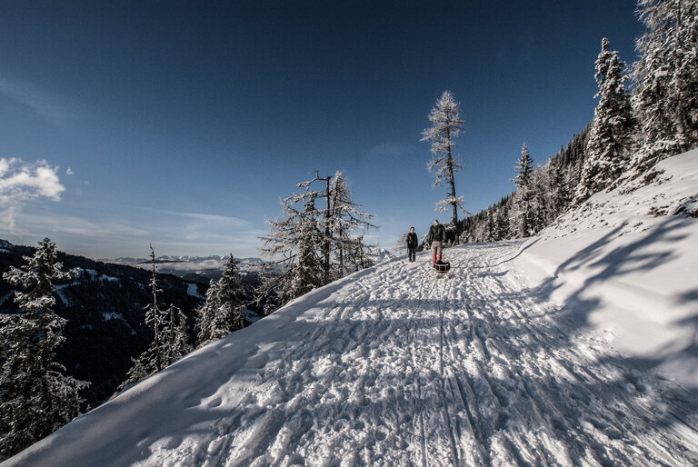 Guided winter walking tour – „WinterWonderLand“ - Imprese #2.3 | © Gerhard Pilz