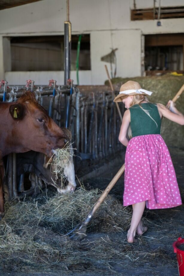 Farm experience for young and old - Imprese #2.3 | © Sibel Zechmann