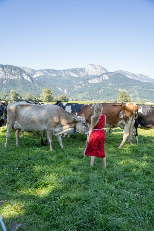 Farm experience for young and old - Imprese #2.2 | © Sibel Zechmann