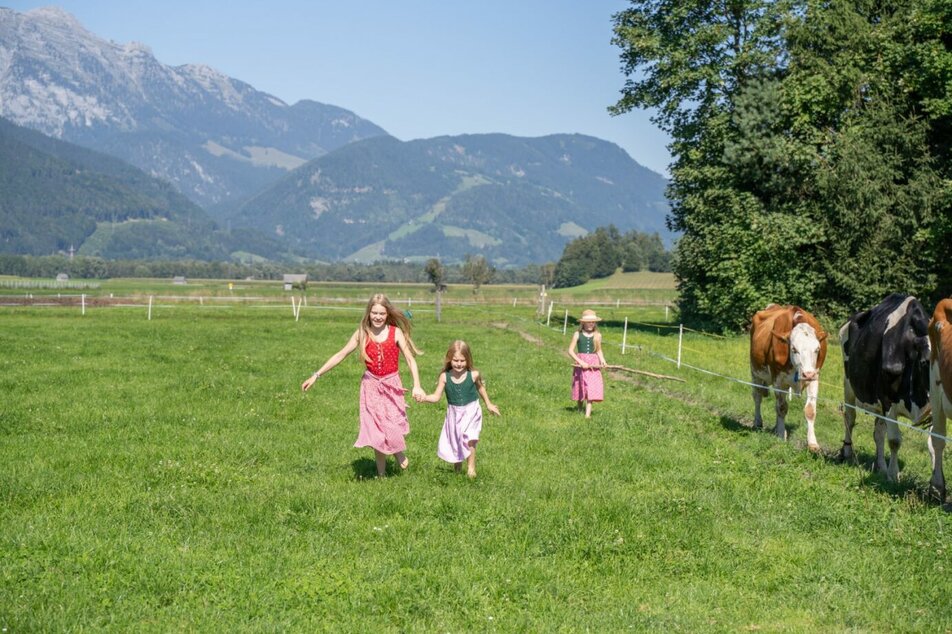 Farm experience for young and old - Imprese #1 | © Sibel Zechmann