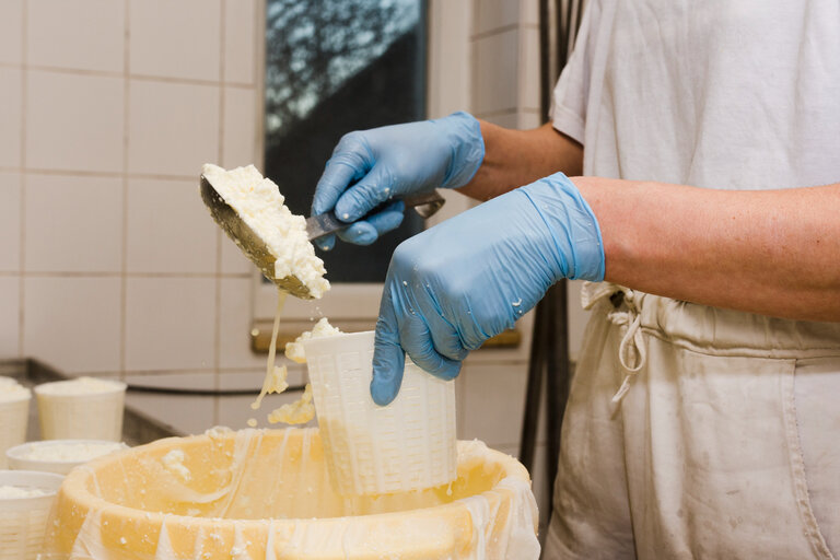 How is cheese produced? - Imprese #2.4 | © freepik