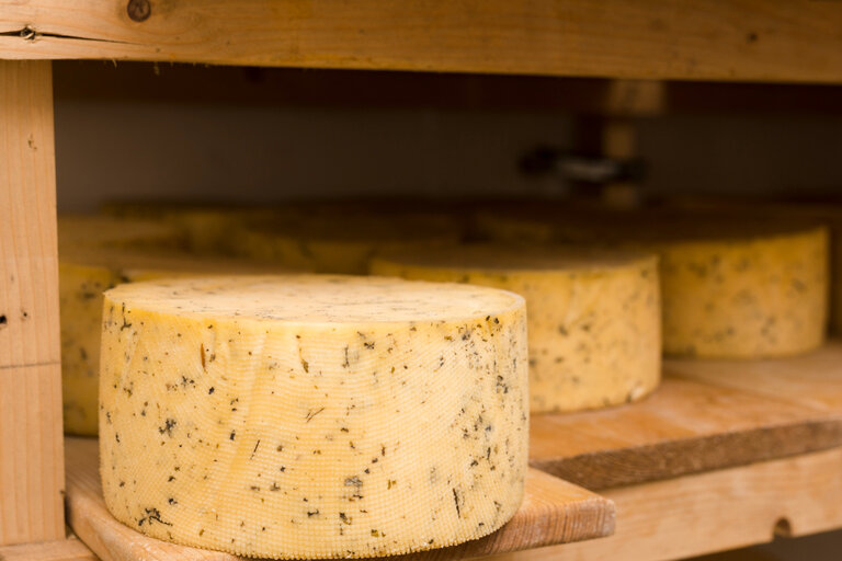 How is cheese produced? - Imprese #2.3 | © freepik