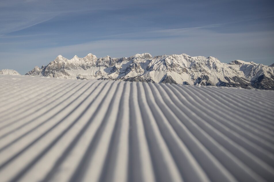 Austrian Alpine Ski Championships - Imprese #1 | © Mirja Geh