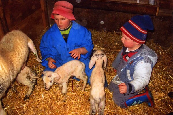 Harreiterhof - Kinder mit Schafen