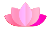 transparent-sauna-icon-lotus-icon-lotus-flower-ico